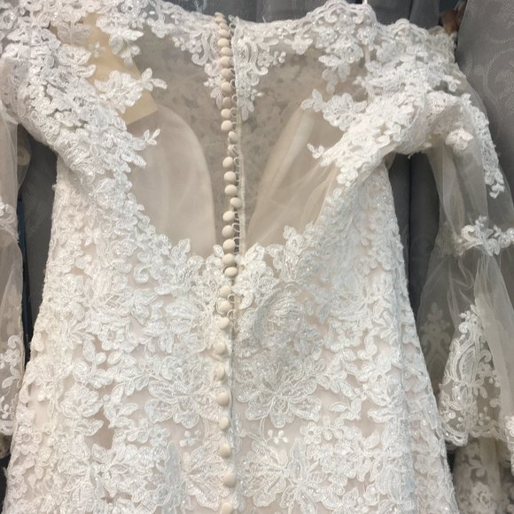 NWT Poet Sleeve Lace Blush/Ivory Wedding Dress - Picture 11 of 16